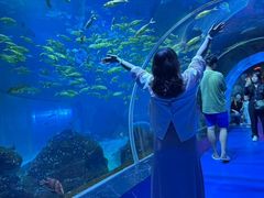 -威海华夏城景区