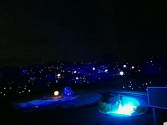 -鼎盛王朝康熙大典实景演出