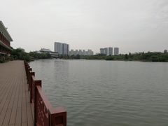 -五缘湾湿地公园