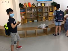 -编程猫少儿编程(江东校区)