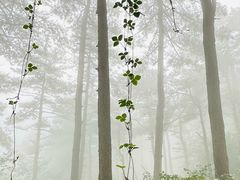 -罗田薄刀峰风景区