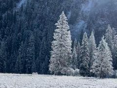 -白马王朗自然风景区