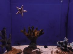 -常州海昌海洋探索馆
