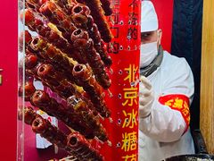 -和禄德冰糖葫芦