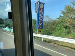 -宫城藏王狐狸村