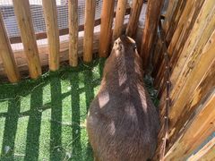 -昆明动物园