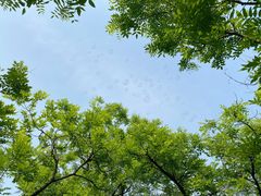 -艾溪湖湿地公园