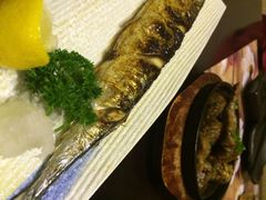 -左舞日本料理