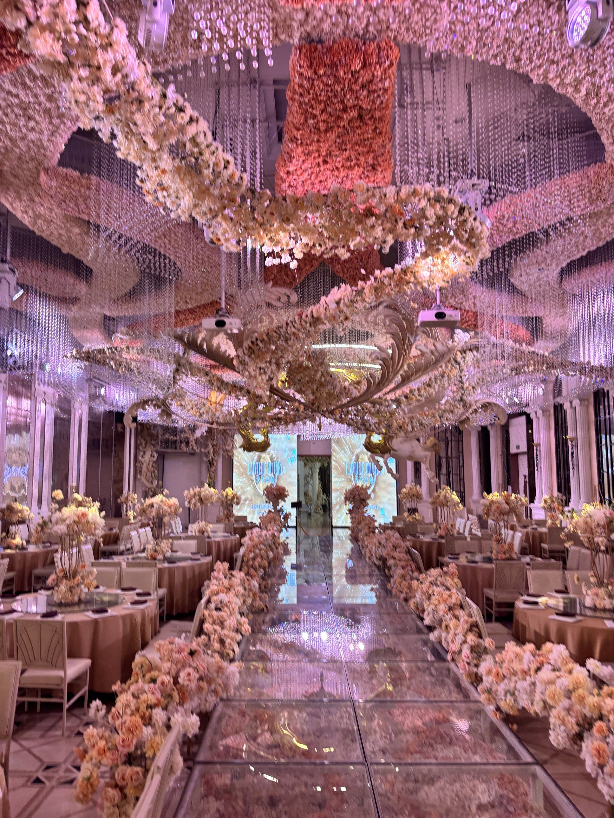 对比了某利某雅,订在了花嫁丽舍