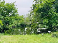 -盆景园(扬州大运河文化旅游度假区)