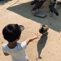 -萌宠亲子动物乐园(槐房万达店)