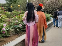-洛阳市隋唐城遗址植物园