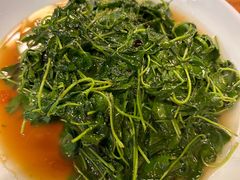 -双塔老饭店