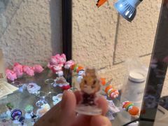 -逃脱反斗城沉浸剧情密室(北京路店)