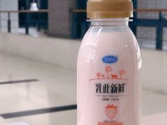 -北大学一食堂