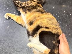 -黔府豆米火锅野菜馆(南马店)