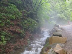 -本溪汤沟绿石谷森林公园