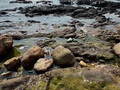 -西涌国际滨海旅游区