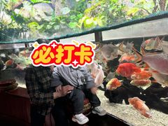 -太平洋海底世界