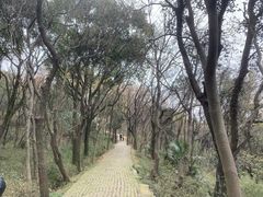 -苏州上方山国家森林公园