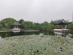 -无锡蠡湖国家湿地公园-蠡园