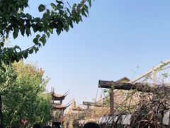 -呀路古热带植物园
