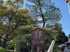 -水前寺成趣园