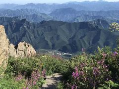 -白草畔自然风景区