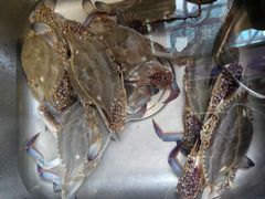 -盒马鲜生(昆城店)