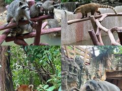 -长鹿旅游休博园