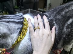 -百金通黄金回收首饰定制维修(珠江路总部)