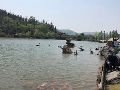 -南京银杏湖乐园