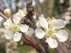 -贵阳市花溪国家城市湿地公园
