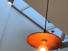 -有猫主题·治愈系猫咖(曾厝垵店)