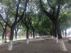 -大明宫国家遗址公园·御道广场