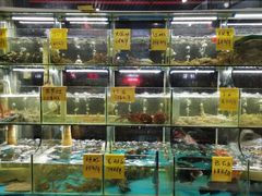 水产区-大海山·十八年海鲜闽菜(金港店)