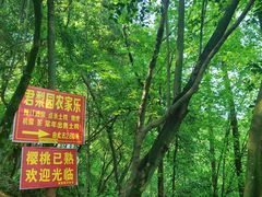 -成都老君山
