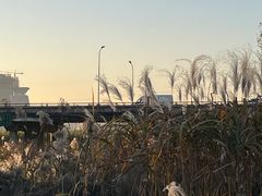 -西安浐灞国家湿地公园