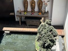 -觀芷隐轩