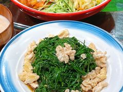 -蒙古大营(朝阳公园店)