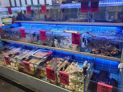 -金海湾海鲜排档(朱家尖店)