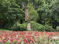 -雁南飞茶田景区