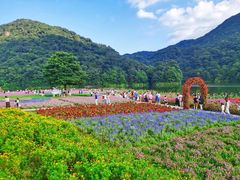 -广州市石门国家森林公园