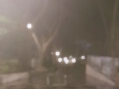 -屯门公园