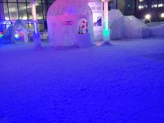 -世界之窗阿尔卑斯冰雪世界