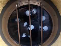 -三鹰之森吉卜力美术馆