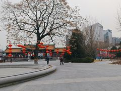 -莲花池公园
