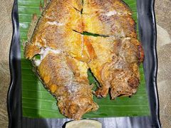 香煎黄花鱼-四海酒家生态粤菜