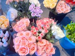 -循礼门鲜花花市(武汉循礼门店)