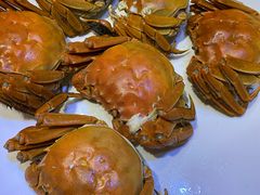 黄河口大闸蟹-早船·深海鱼锅泡饼(沧州店)